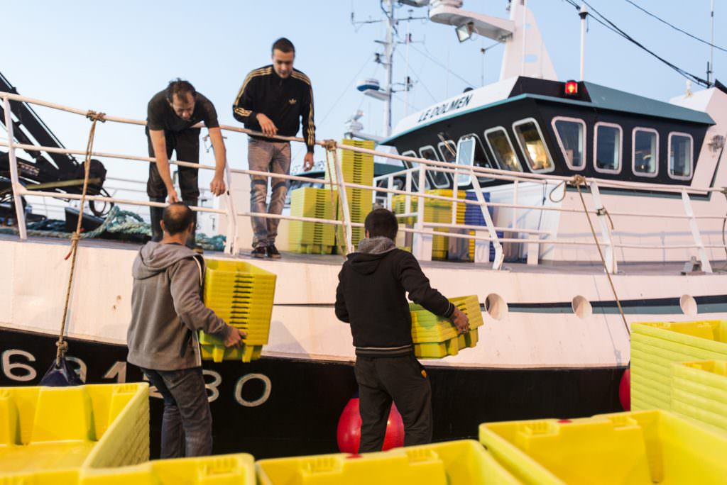 Descarga de pescado en el muelle del puerto pesquero de Lorient (Bretaña, Francia)